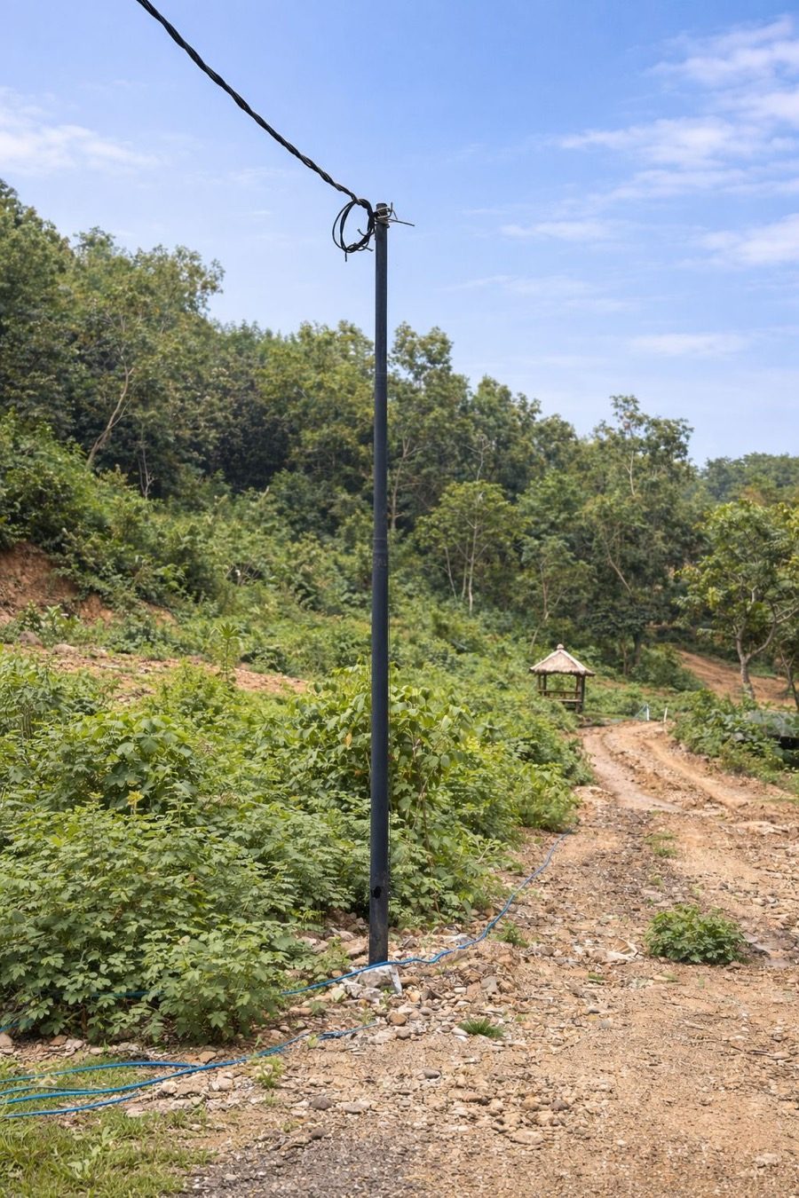 Acceso al terreno de Dolce Villas